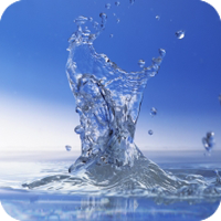 Wellness Water